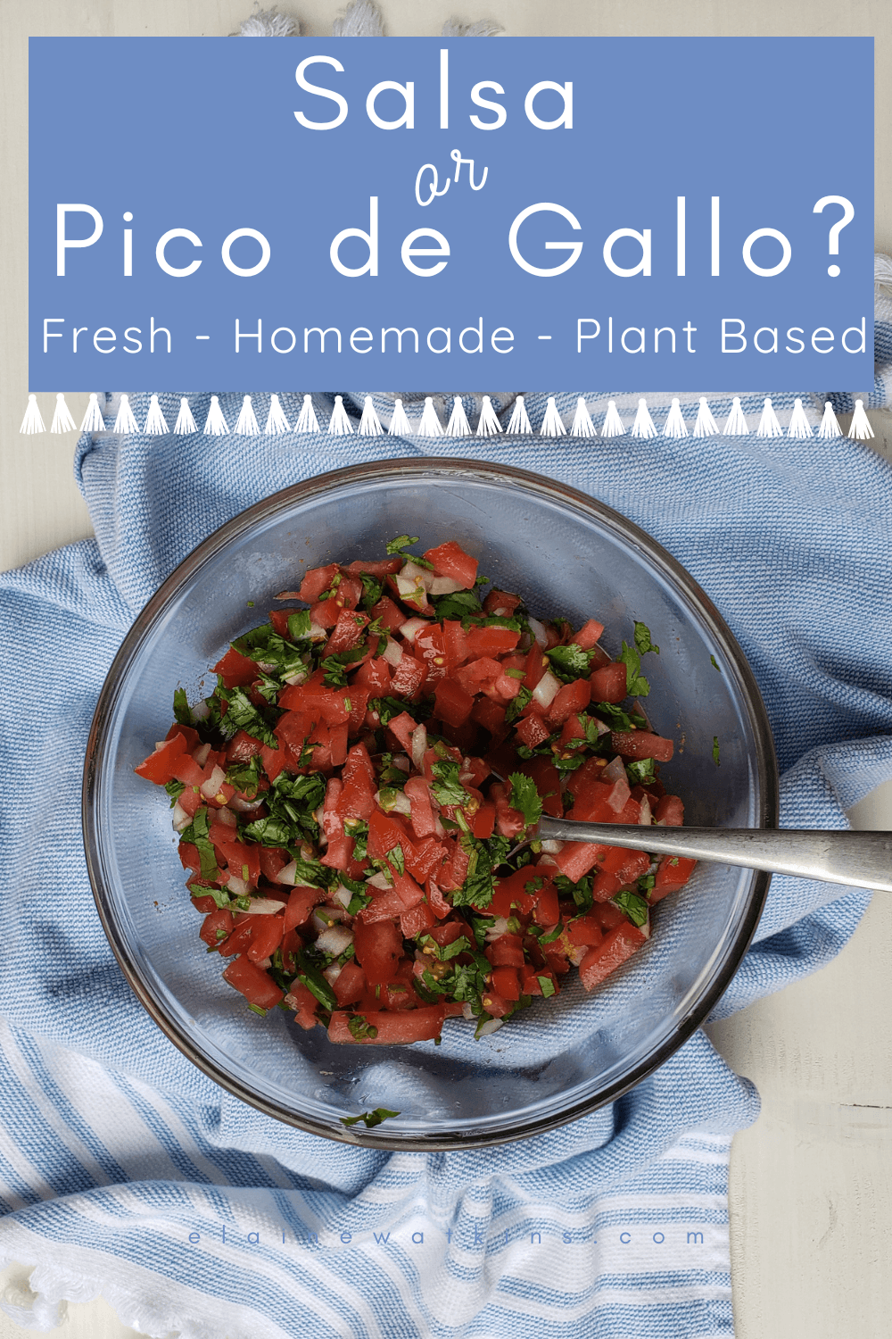 Fresh, Homemade Salsa or Pico de Gallo