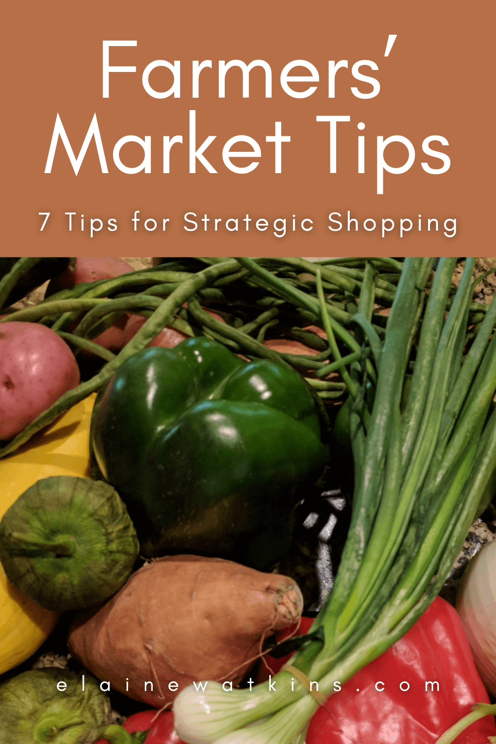 Farmers Market Tips for Your Next Visit