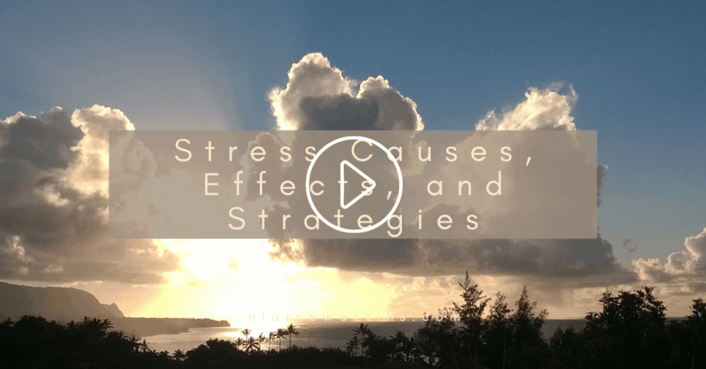 Stress Causes Effects and Strategies Video Blog