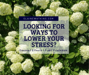 Stress Causes, Effects, Tips, and Printables