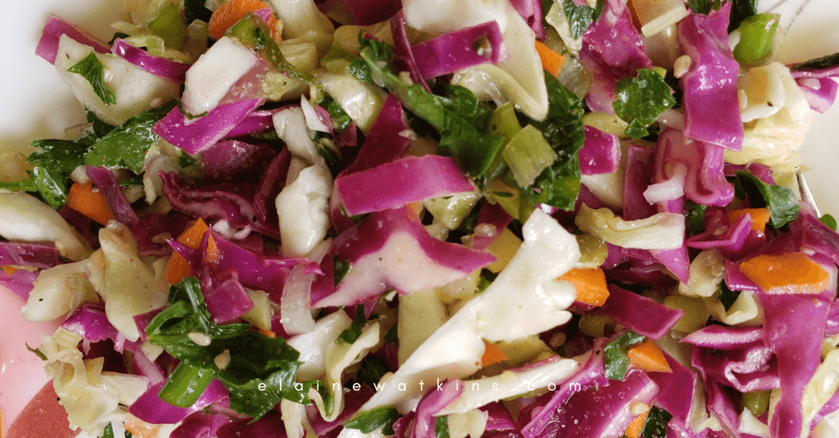 Enjoy this delicious Lemon Vinaigrette Cole Slaw
