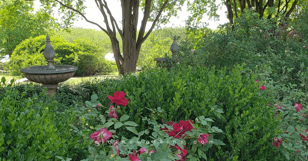 Is it your thyroid? FI