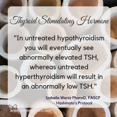Wondering about your thyroid? Learn about thyroid function, symptoms, and testing as helpful indications of your overall health.