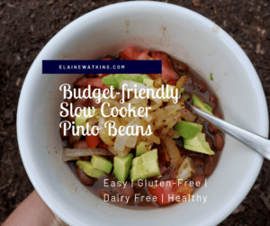 Budget-friendly Slow Cooker Pinto Beans - tasty bowl