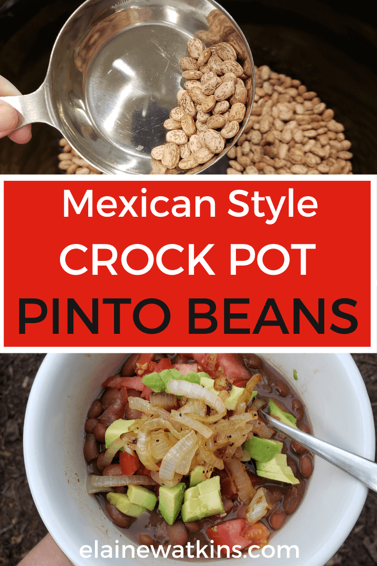 Mexican Style Crock Pot Pinto Beans 03272020 Pins | Elaine Watkins ...
