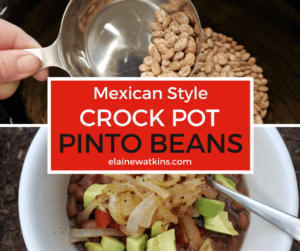Mexican Style Crock Pot Pinto Beans