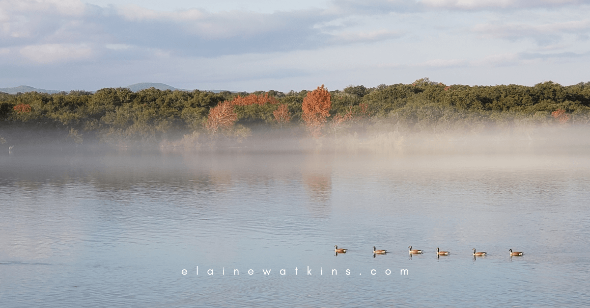 Enjoy Celebrations with Food Restrictions FI