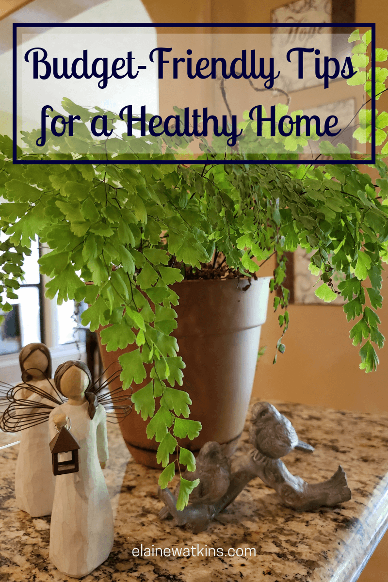 Budget-Friendly Tips for a Healthy Home