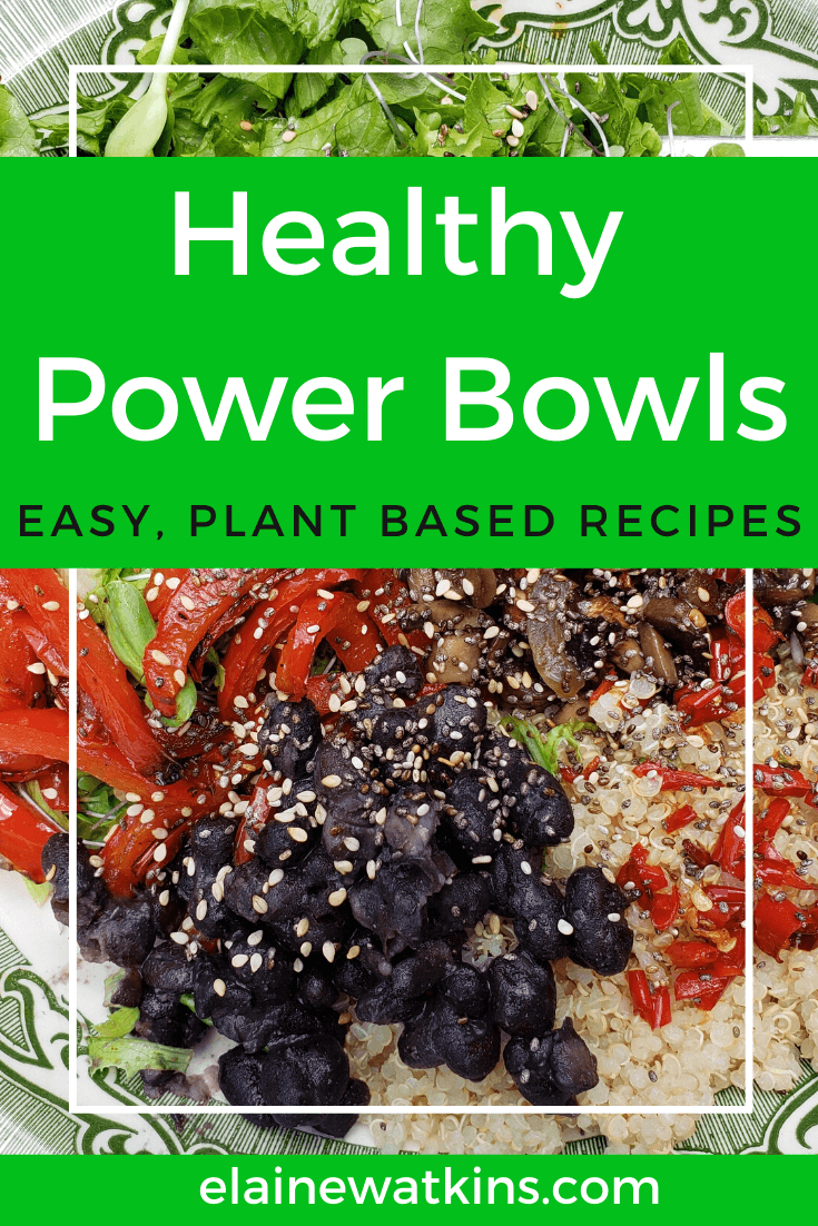 Family-Friendly Power Bowls Everybody Can Love!
