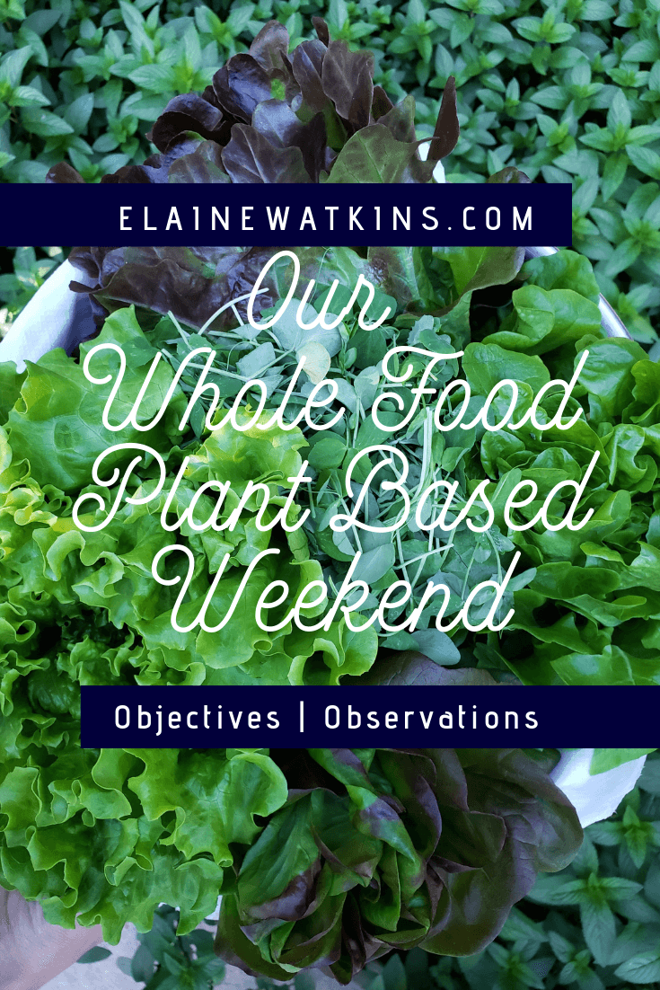Our Whole Food Plant Based Weekend: Objectives and Observations