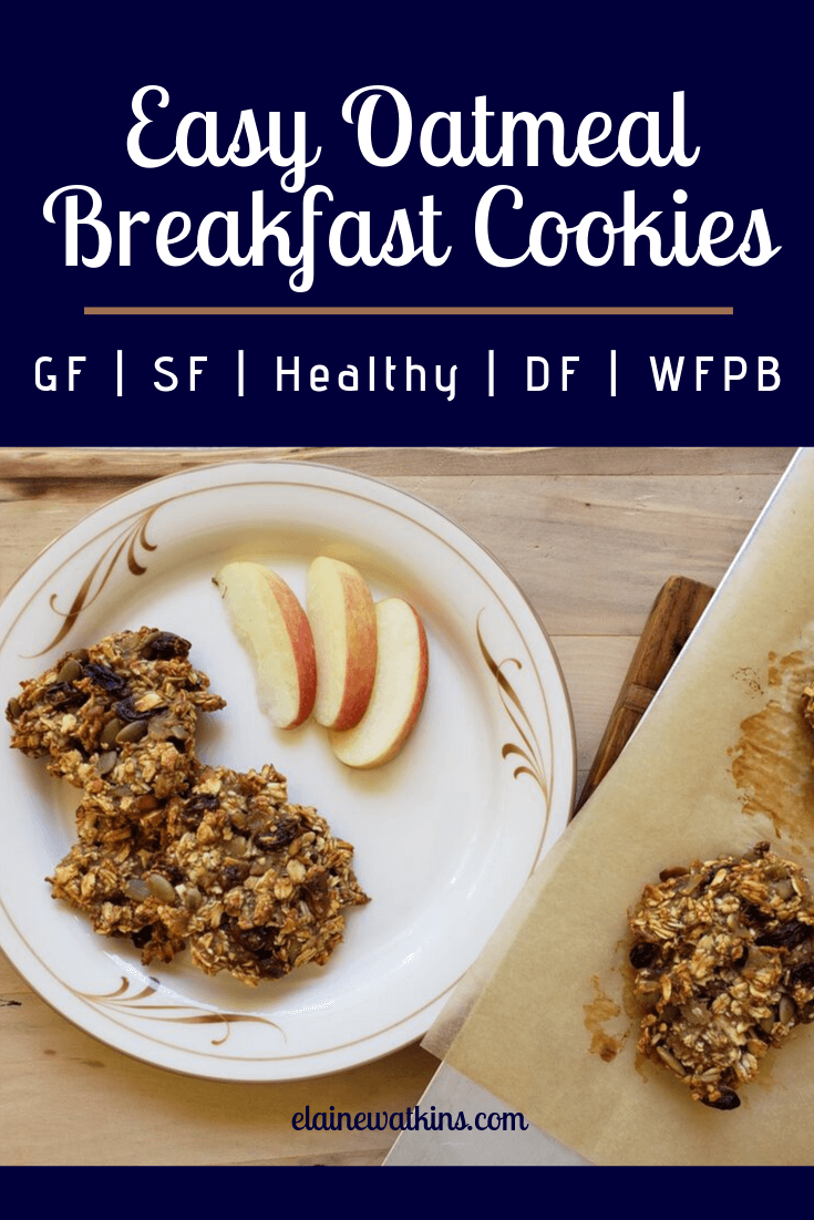 Easy Oatmeal Breakfast Cookies - Apple Pecan and Gluten, Sugar, and Oil Free