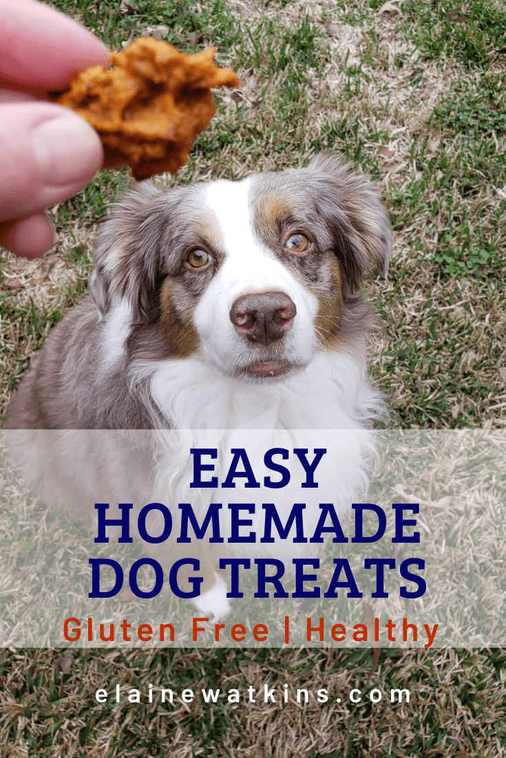 Homemade Dog Treats (Easy, Gluten Free, Healthy)