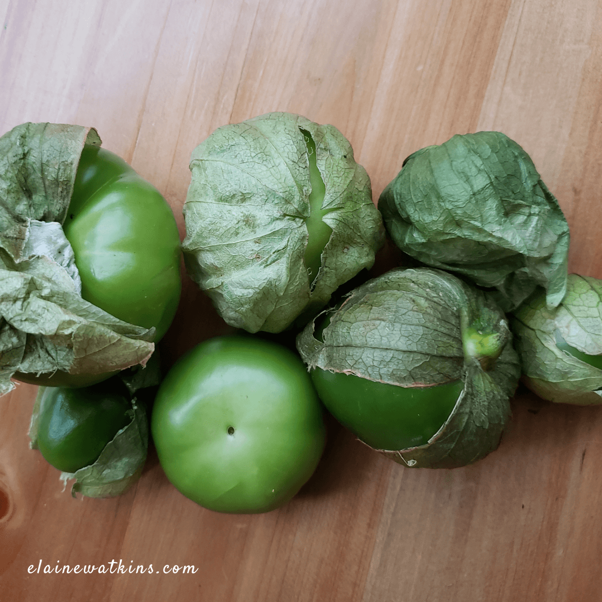 Tomatillo Salsa Verde (aka That Green Sauce at the Mexican Restaurant)