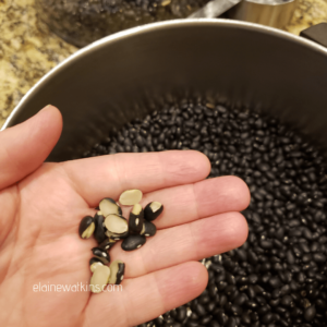 Mexican Style Black Beans - Sorting