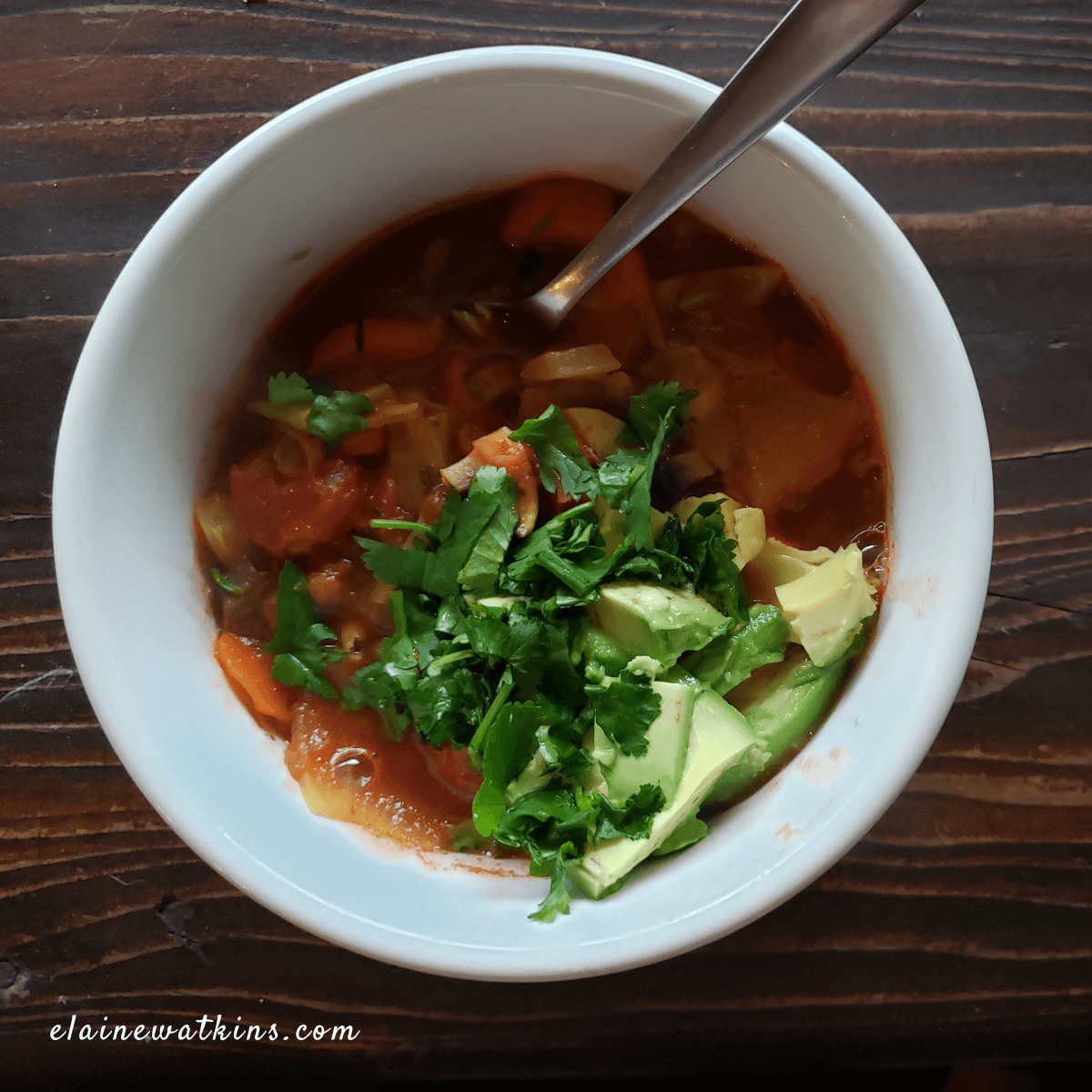 Hearty Mexican Bean and Vegetable Soup (Gluten and Dairy Free) - Elaine ...