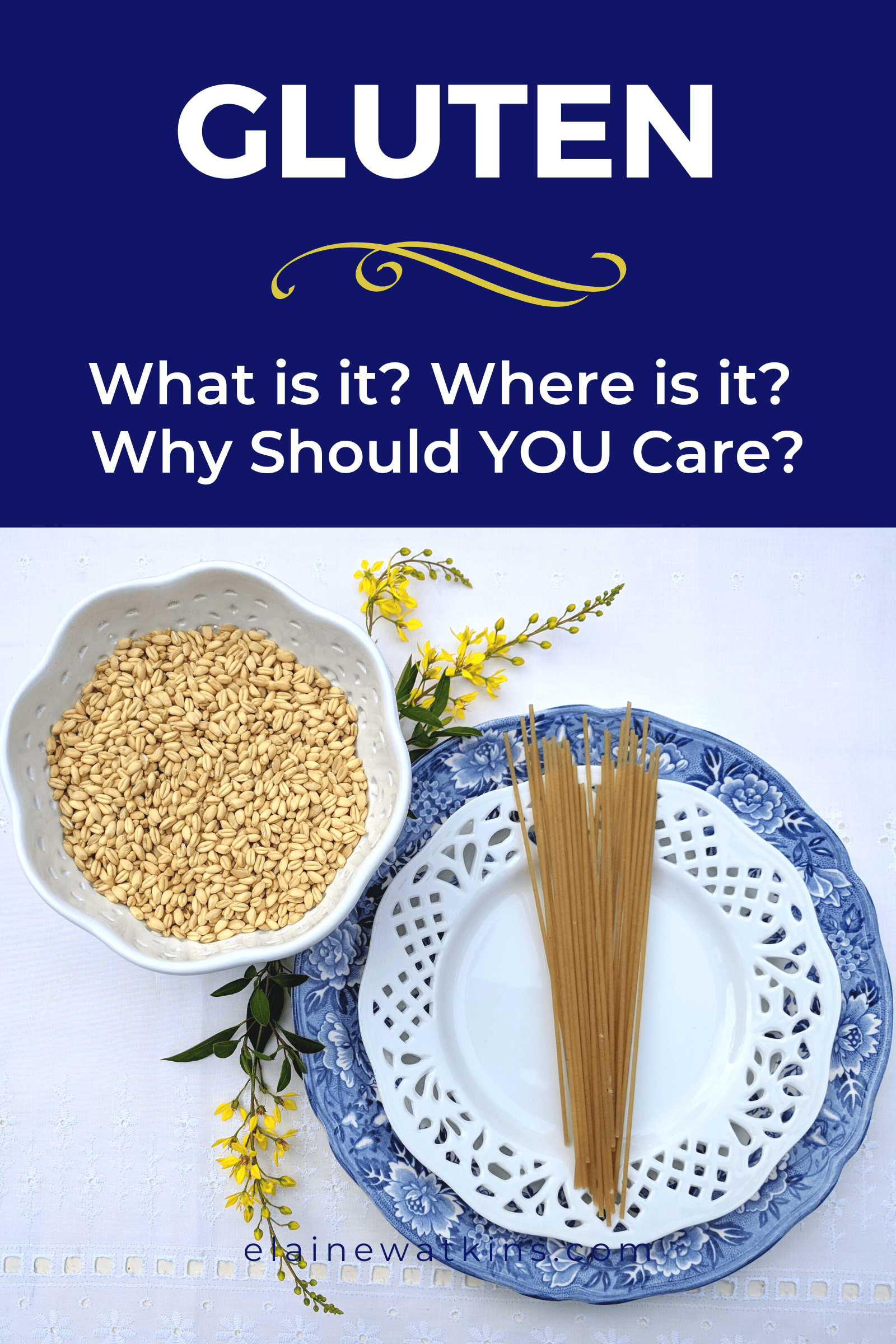 What is Gluten? Where is Gluten? and Why Should YOU Care?