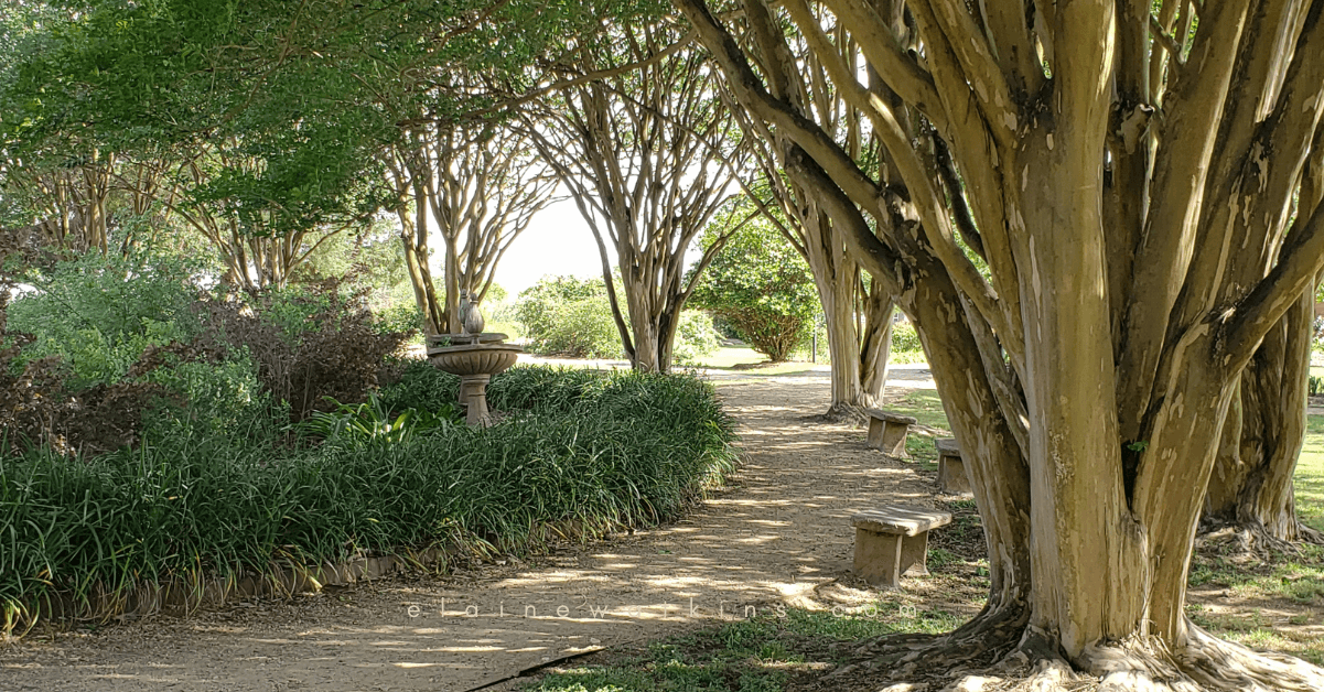 17 Simple Health Tips for a Healthy Lifestyle