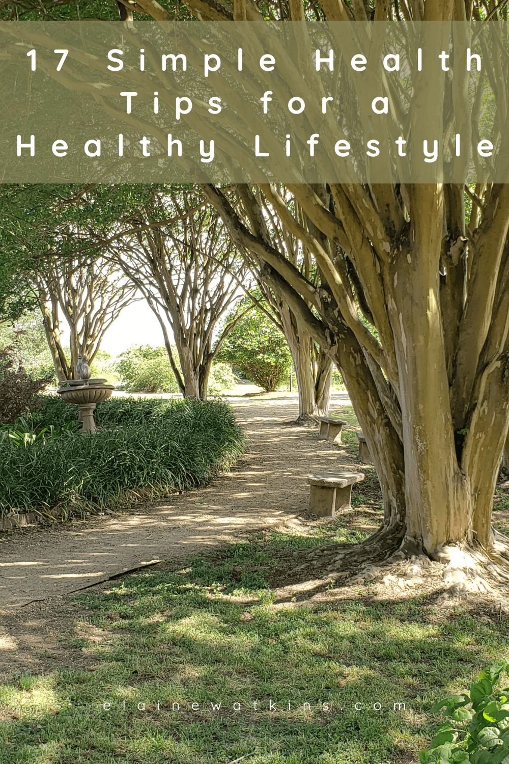 17 Simple Health Tips for a Healthy Lifestyle