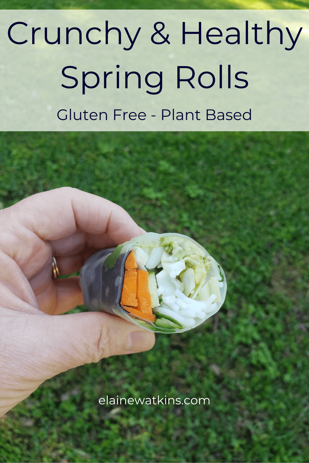 Crunchy and Fresh Spring Rolls