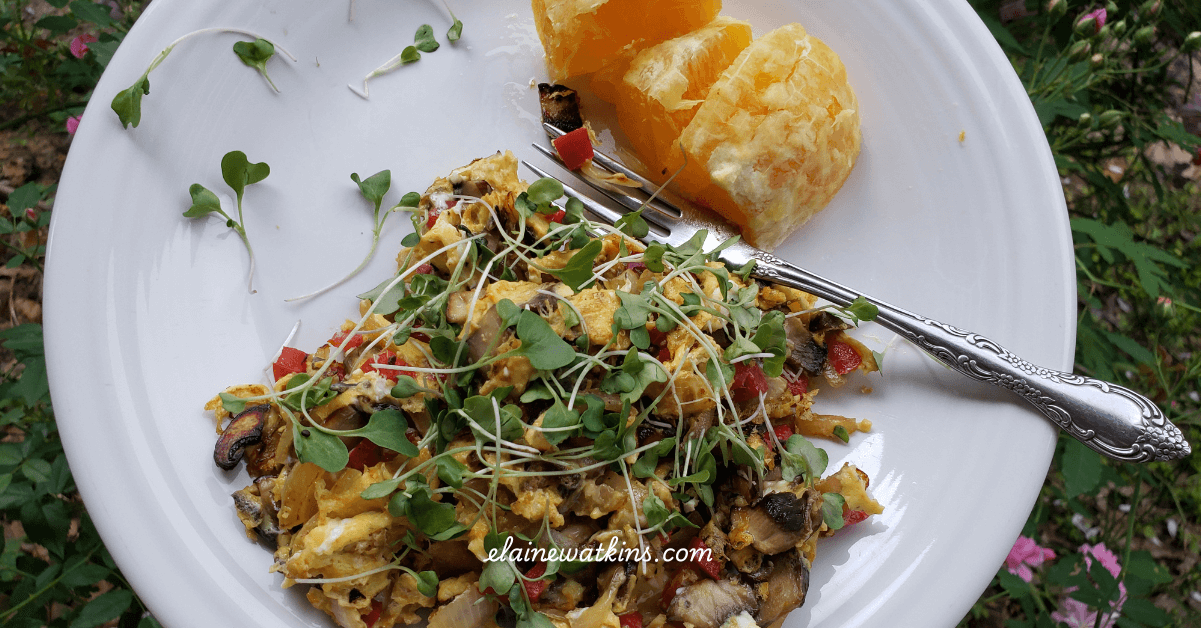 Breakfast Eggs with Mushrooms Red Pepper, Onion, and Spinach