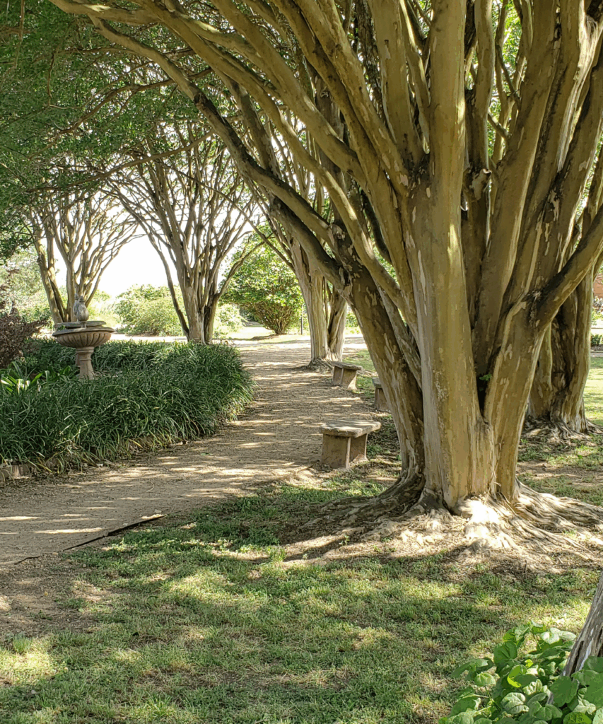 Front Page Path 11112025